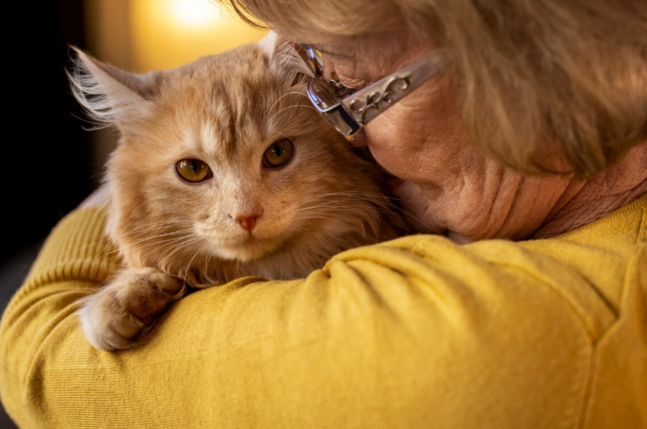 Senior rescue cat cuddling with older woman