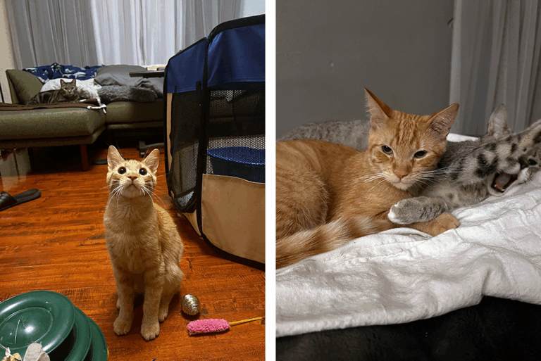 Charlie and Mark Are Bringing Brotherly Love to Los Angeles