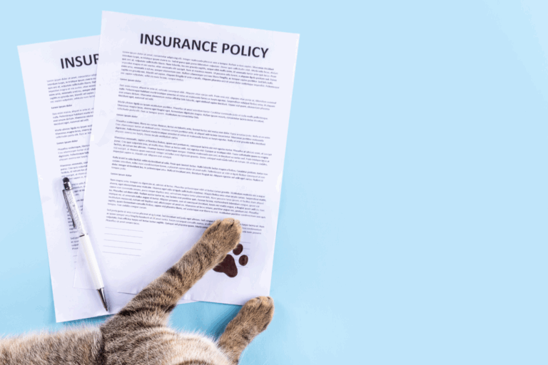 pet insurance policy adoption