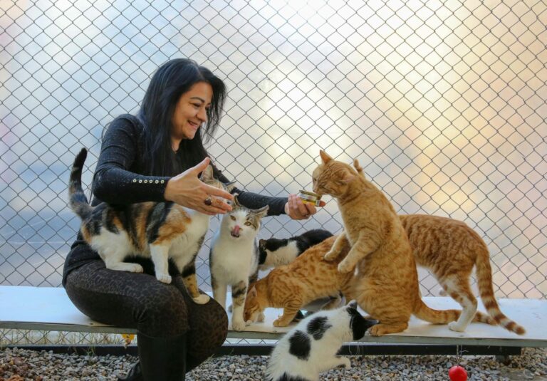 woman feeding cats