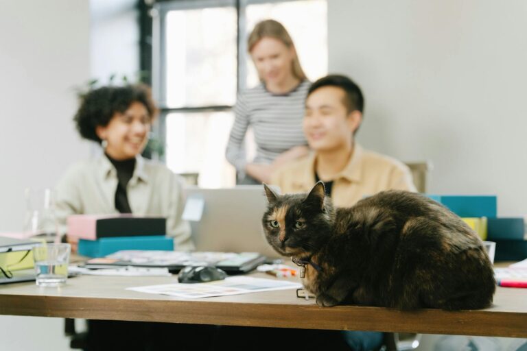 pet in the workplace