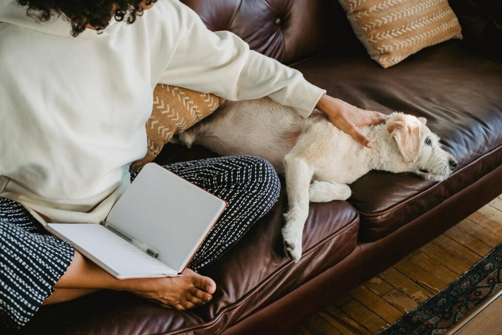 adopting pets in college towns