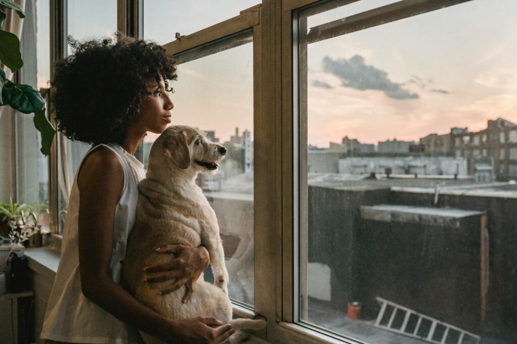 adopted pets in apartment life