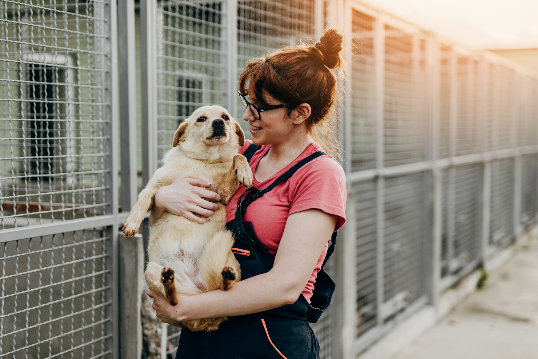 psychology of choosing shelter pet